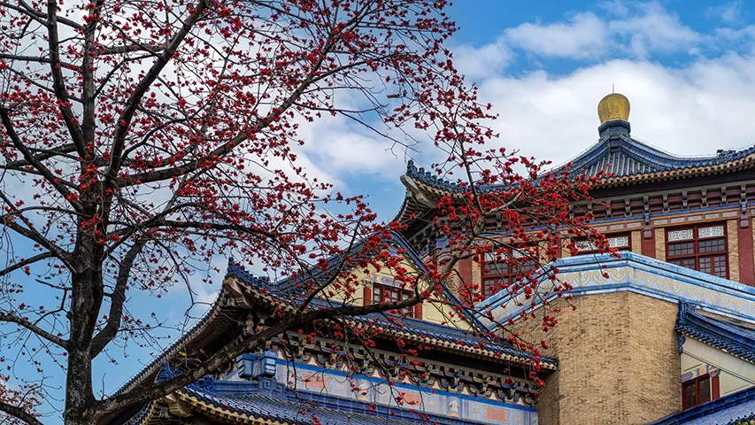 英雄花开英雄城